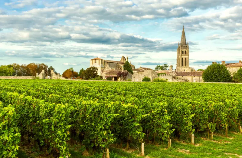 Village avec vignes représentant les opportunité en viager à Bordeaux